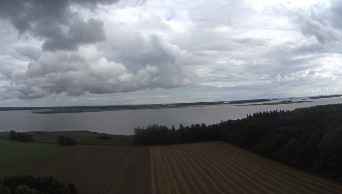 Fly Dynam Hawksky billede 16