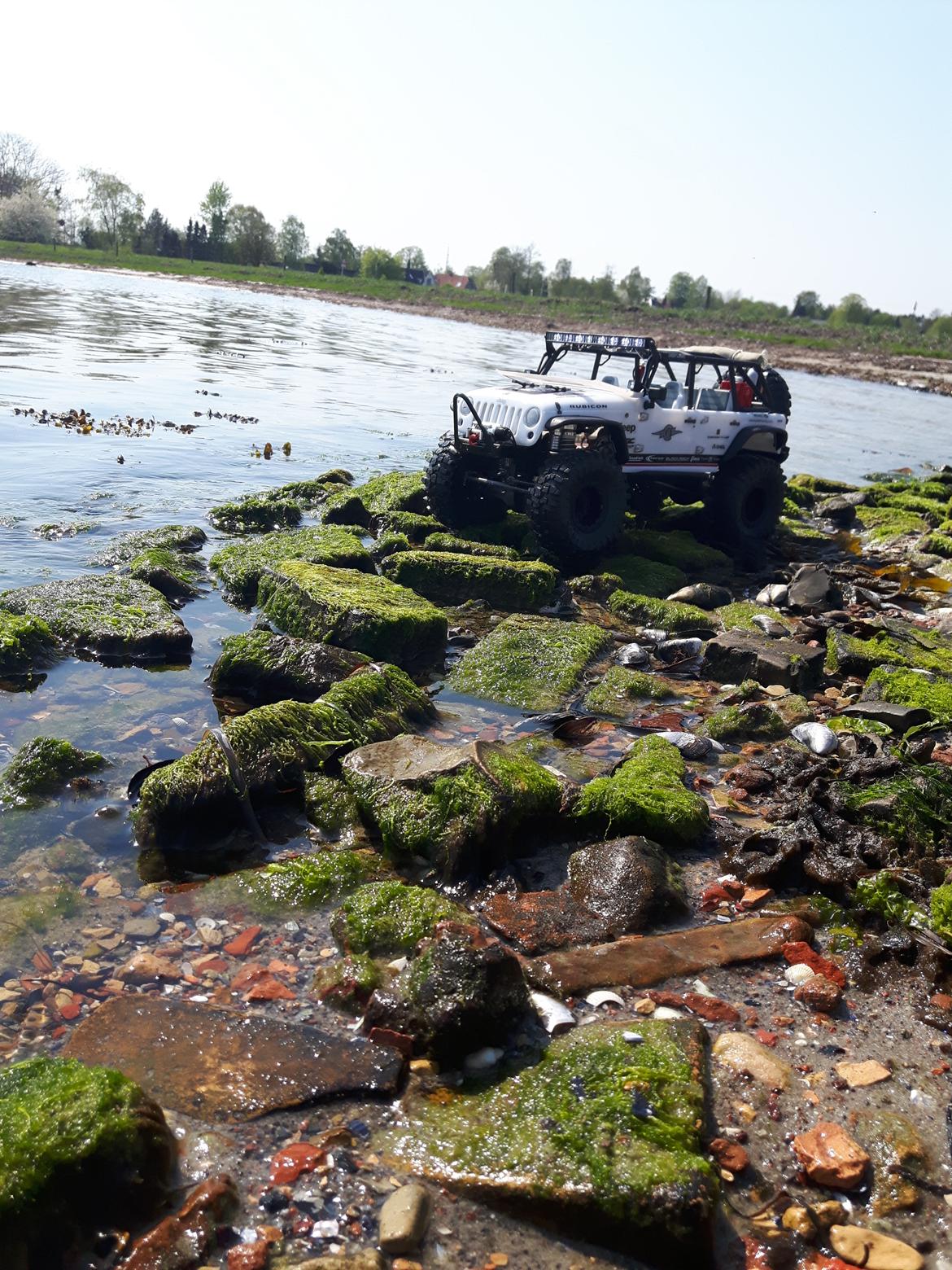 Truck Axial scx10 2012 Jeep Wrangler C/R billede 33