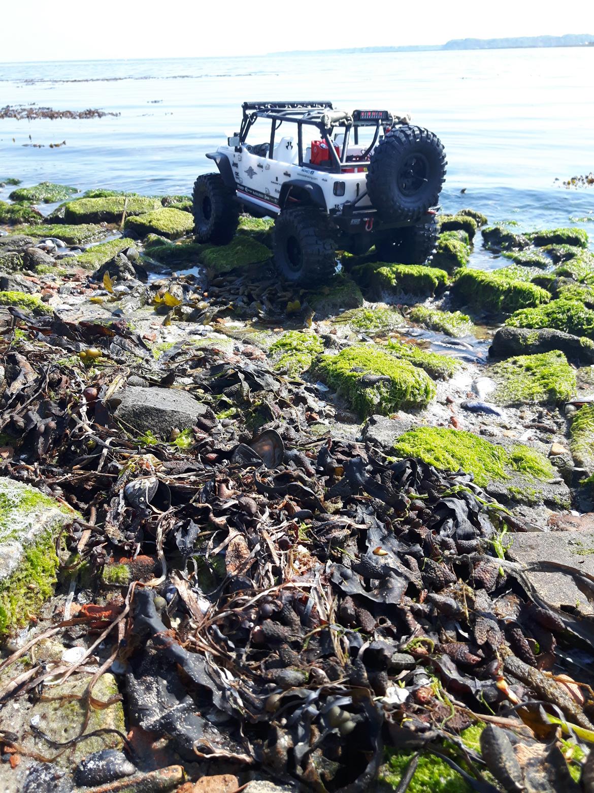 Truck Axial scx10 2012 Jeep Wrangler C/R billede 34