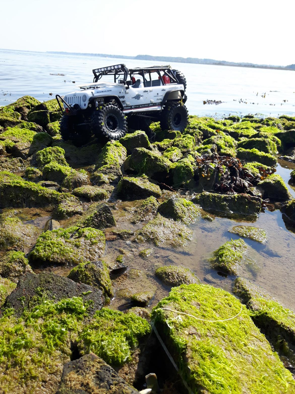 Truck Axial scx10 2012 Jeep Wrangler C/R billede 35