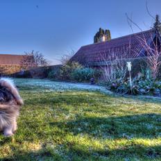 Multirotor DJI Phantom 4