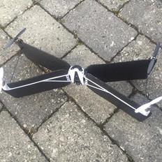 Multirotor Parrot Swing