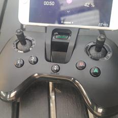 Multirotor Parrot Swing