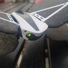 Multirotor Parrot Swing