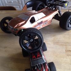 Off-Roader Losi 8ight 2,0