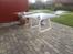 Multirotor DJI Phantom 4