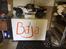 Bil Losi 5ive-T