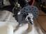 Bil FG Leopard