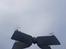 Multirotor Parrot Swing