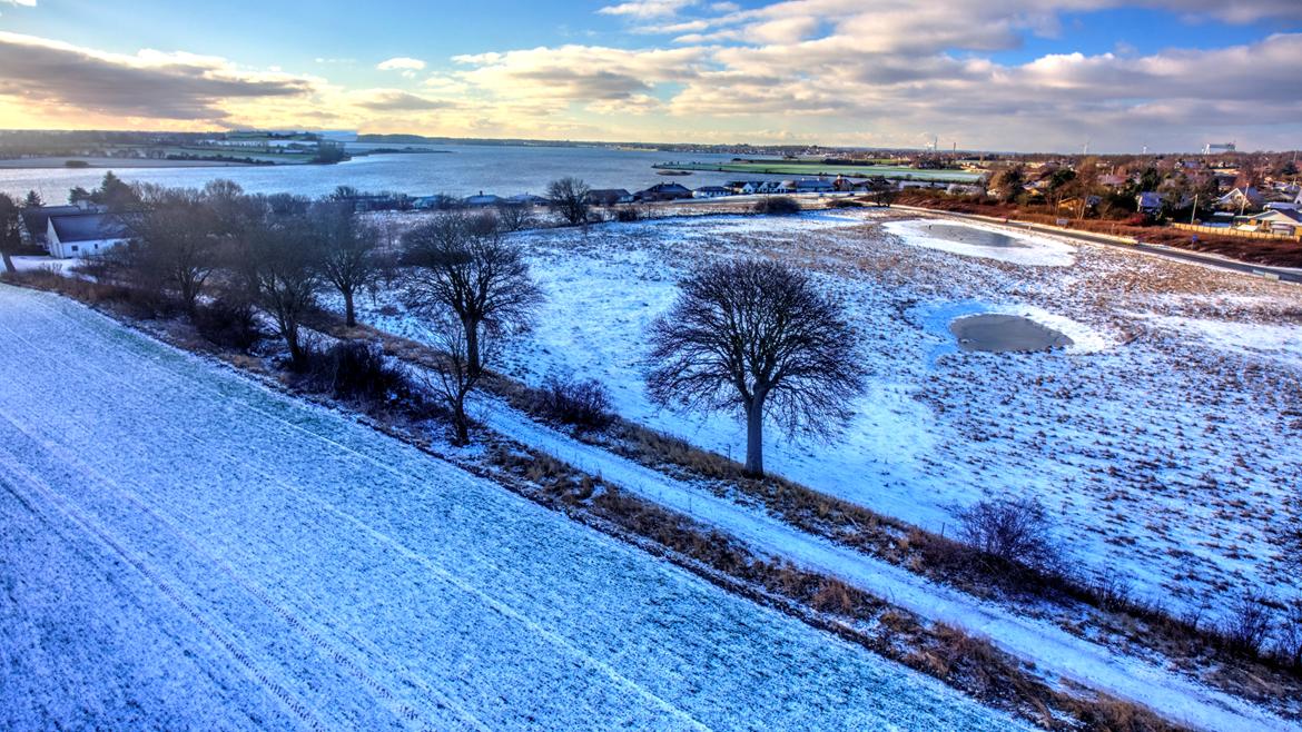 Multirotor DJI Phantom 4 billede 9