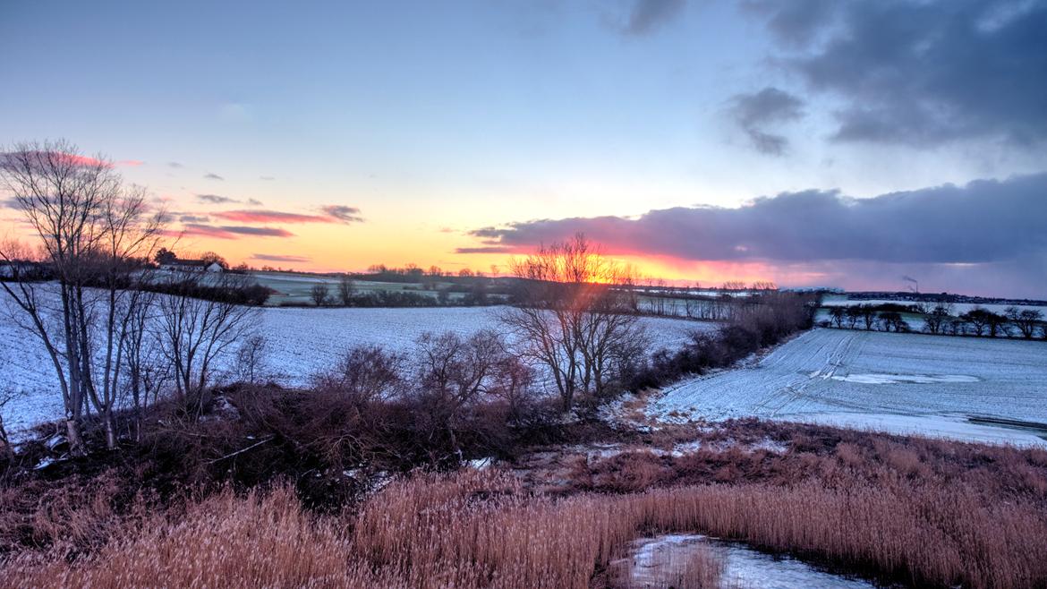 Multirotor DJI Phantom 4 billede 13