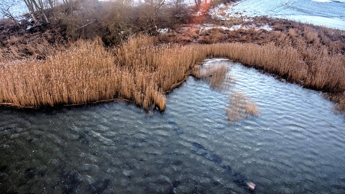 Multirotor DJI Phantom 4 billede 16