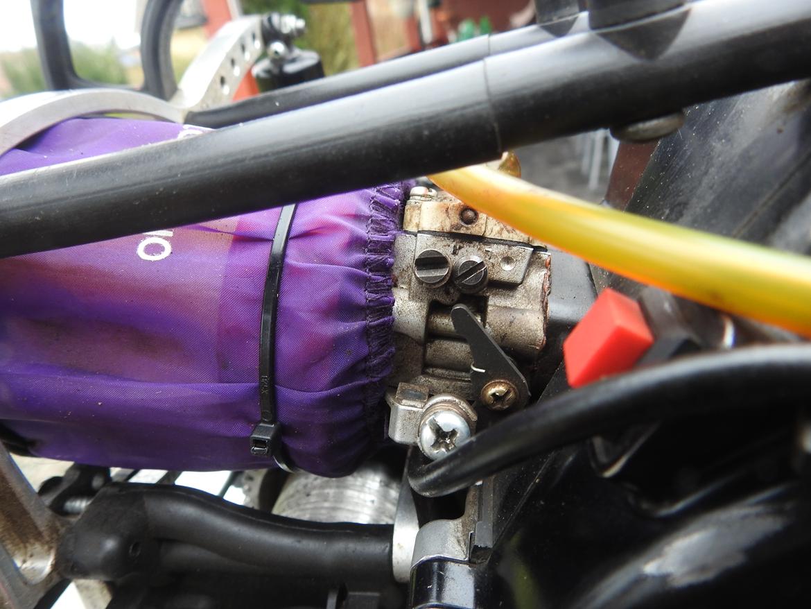 Bil FG Leopard billede 23