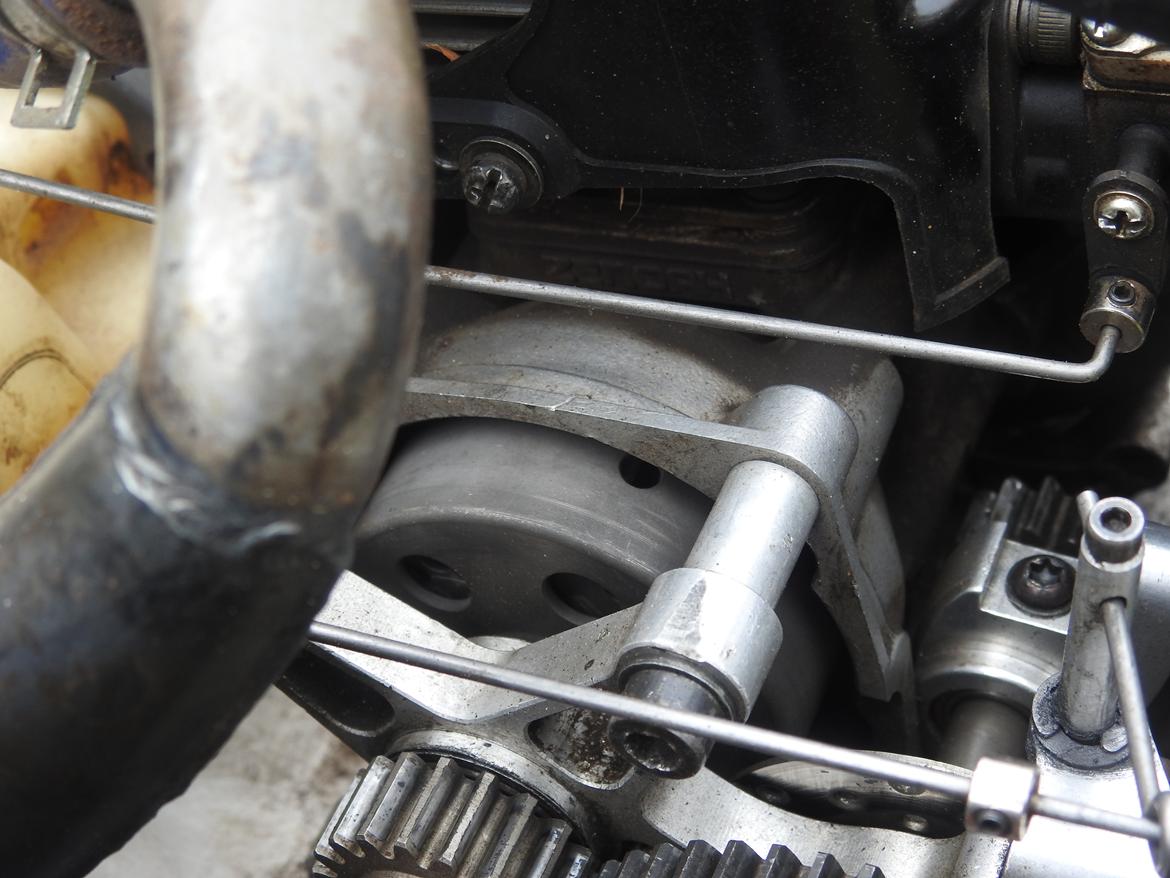 Bil FG Leopard billede 27