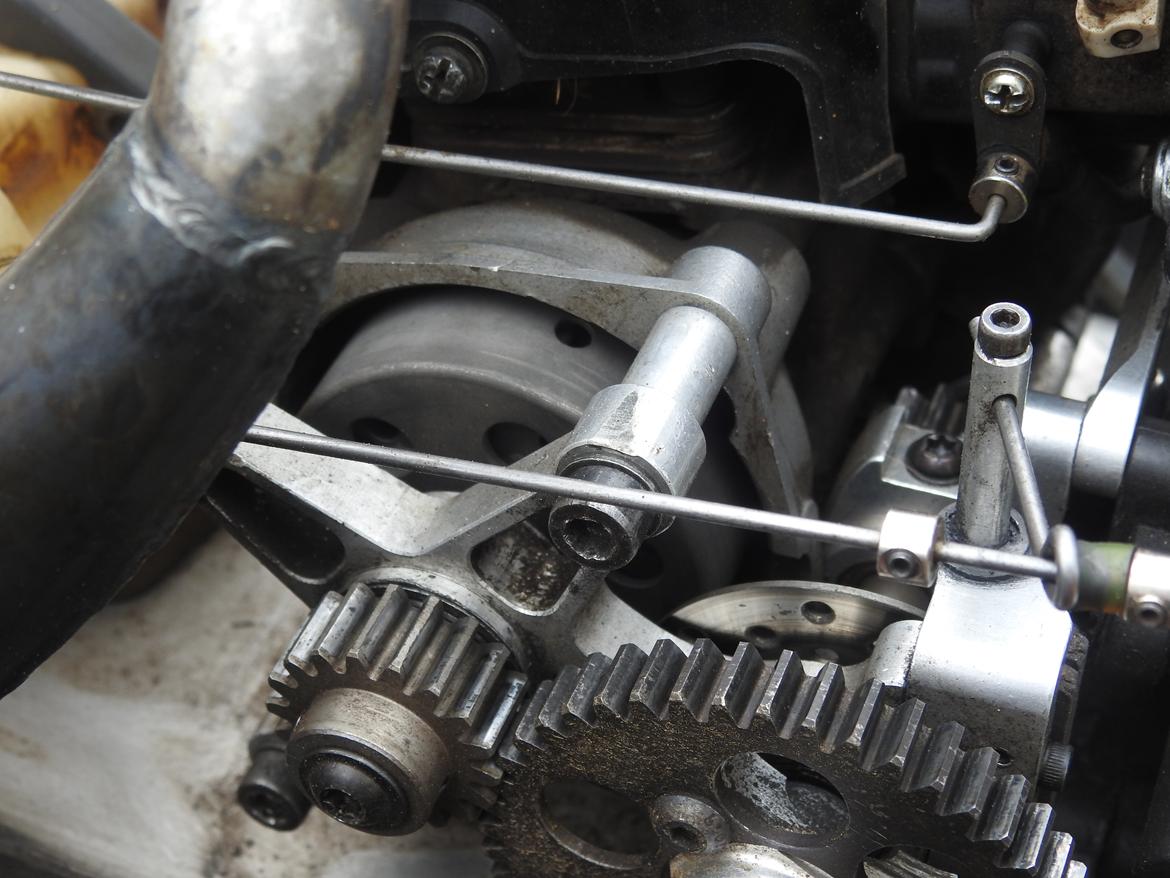 Bil FG Leopard billede 28