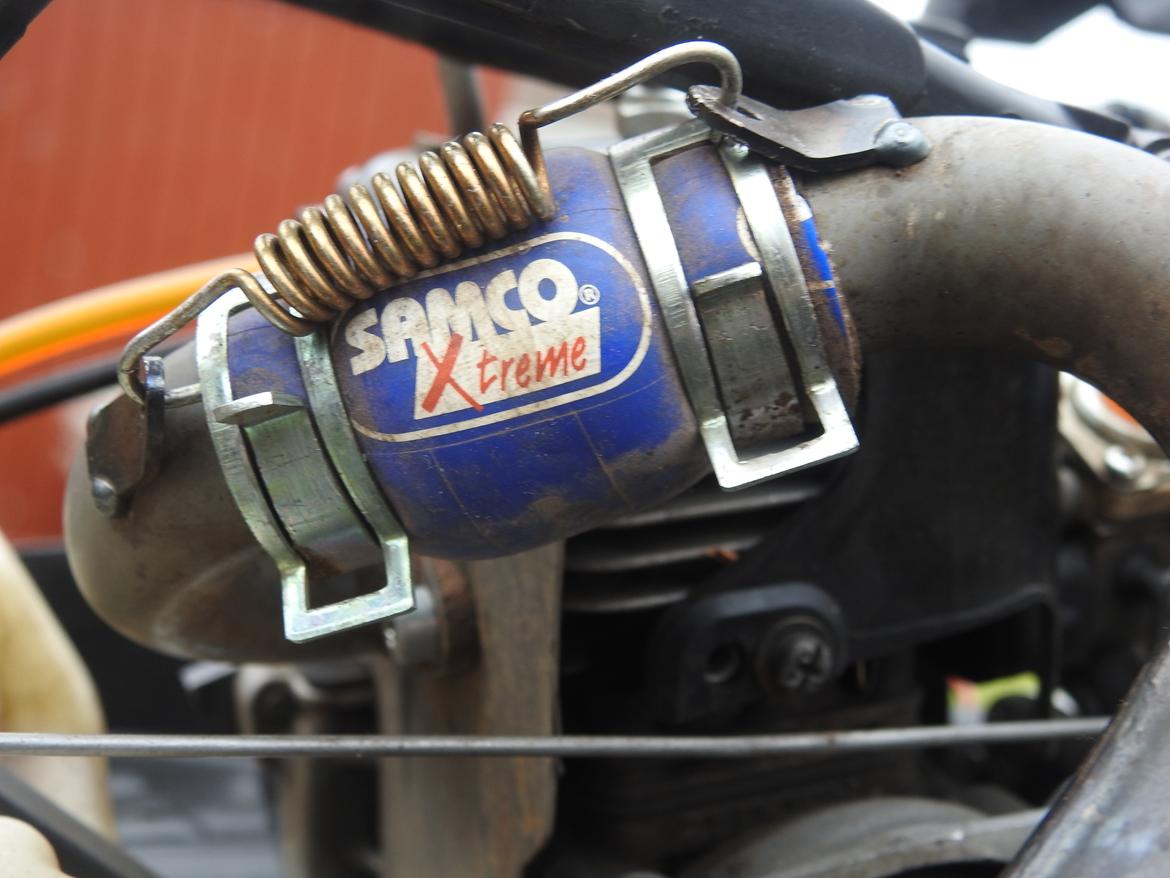 Bil FG Leopard billede 32