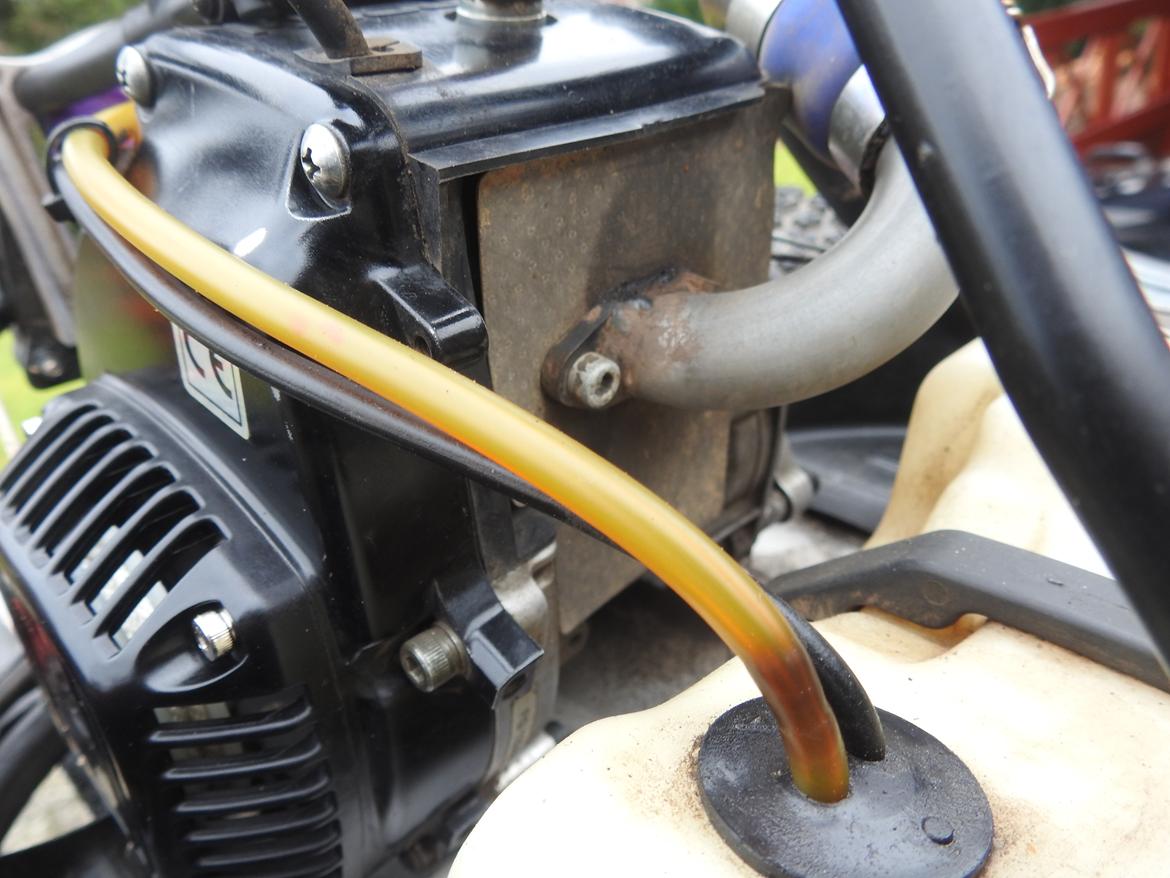 Bil FG Leopard billede 22