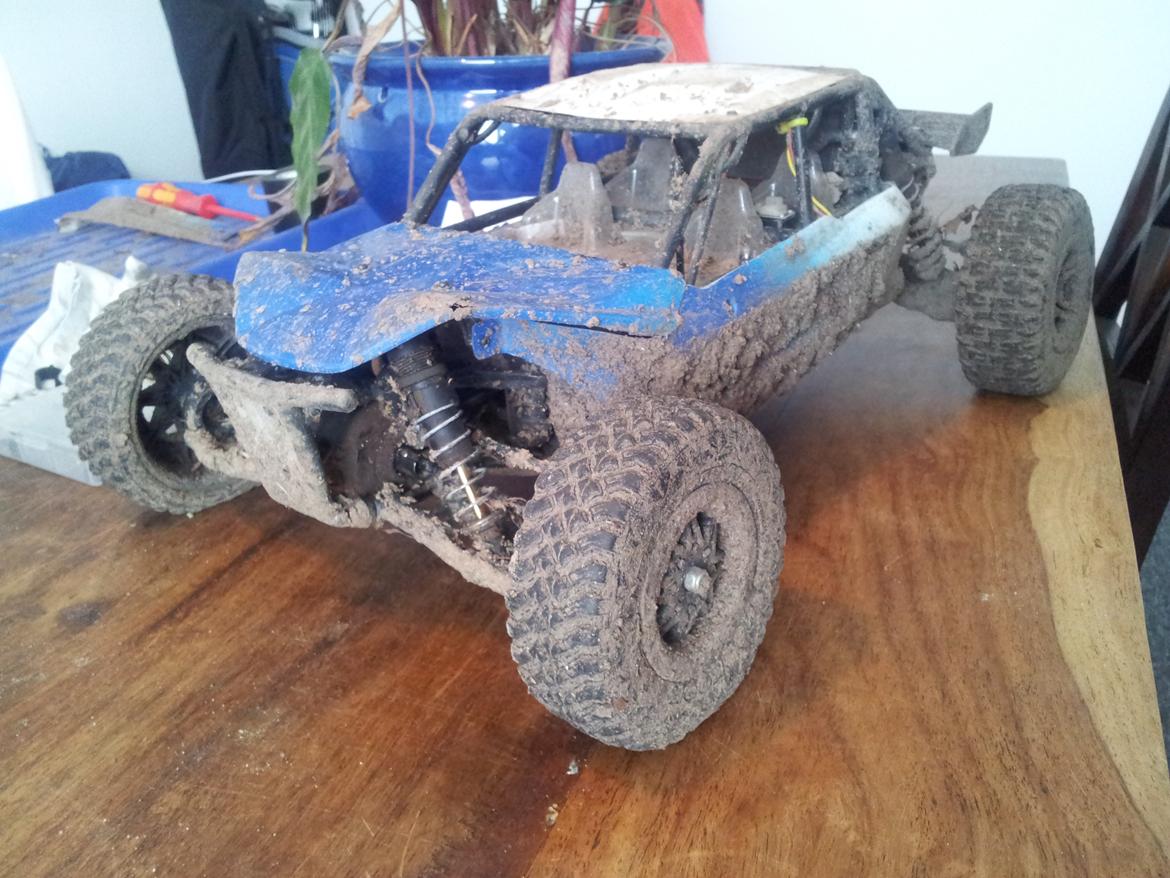 Buggy Axial Exo Terra Buggy billede 23