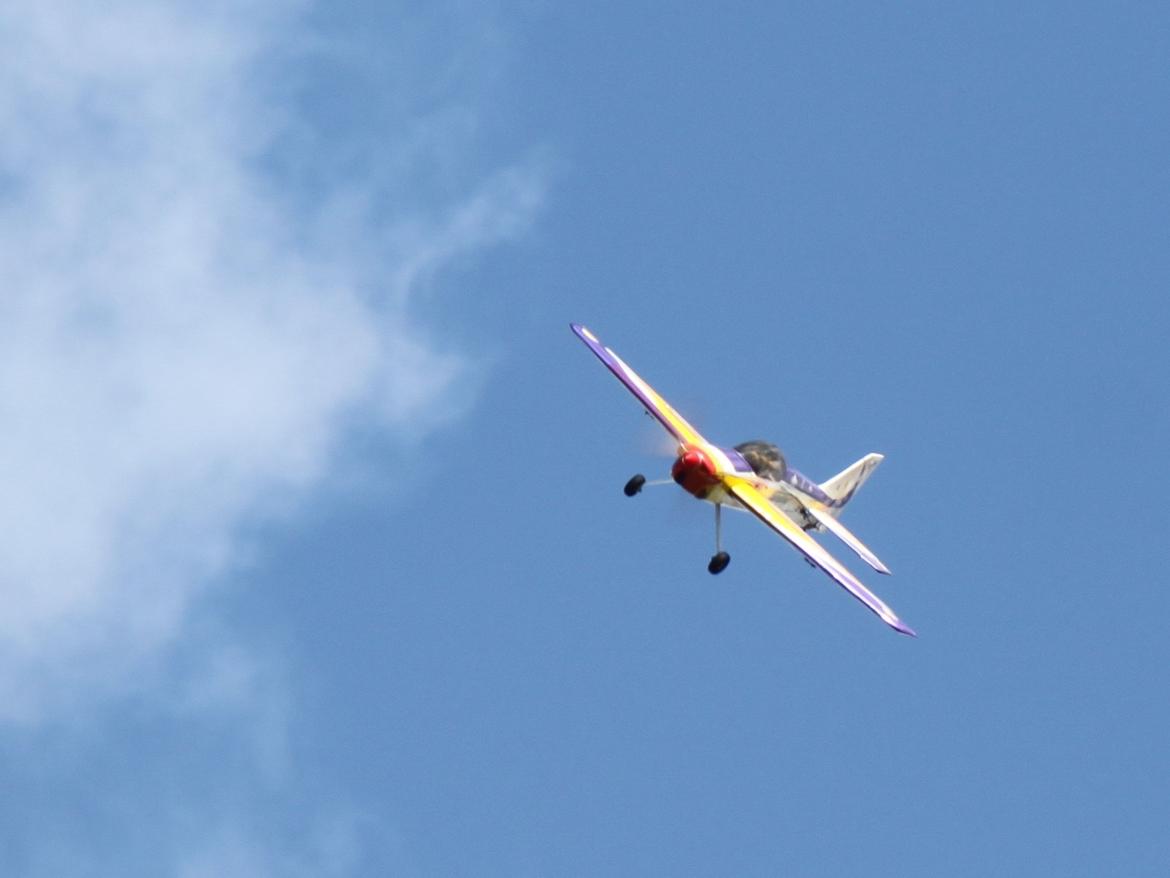 Fly Hangar 9 showtime 4d billede 15