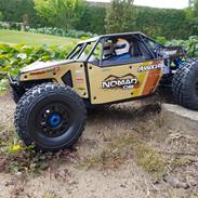 Buggy team associated Nomad DB8