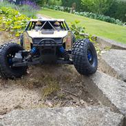 Buggy team associated Nomad DB8