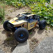 Buggy team associated Nomad DB8