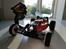 Buggy ansmann mad rat