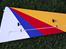 Fly Hangar9 Extra 260 35% (solgt)