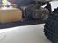 Buggy Fg Marder 