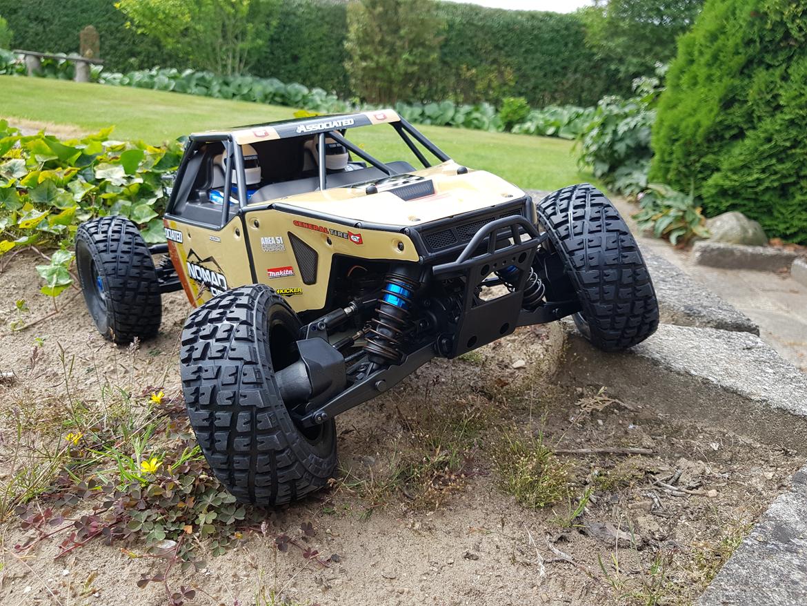 Buggy team associated Nomad DB8 billede 2