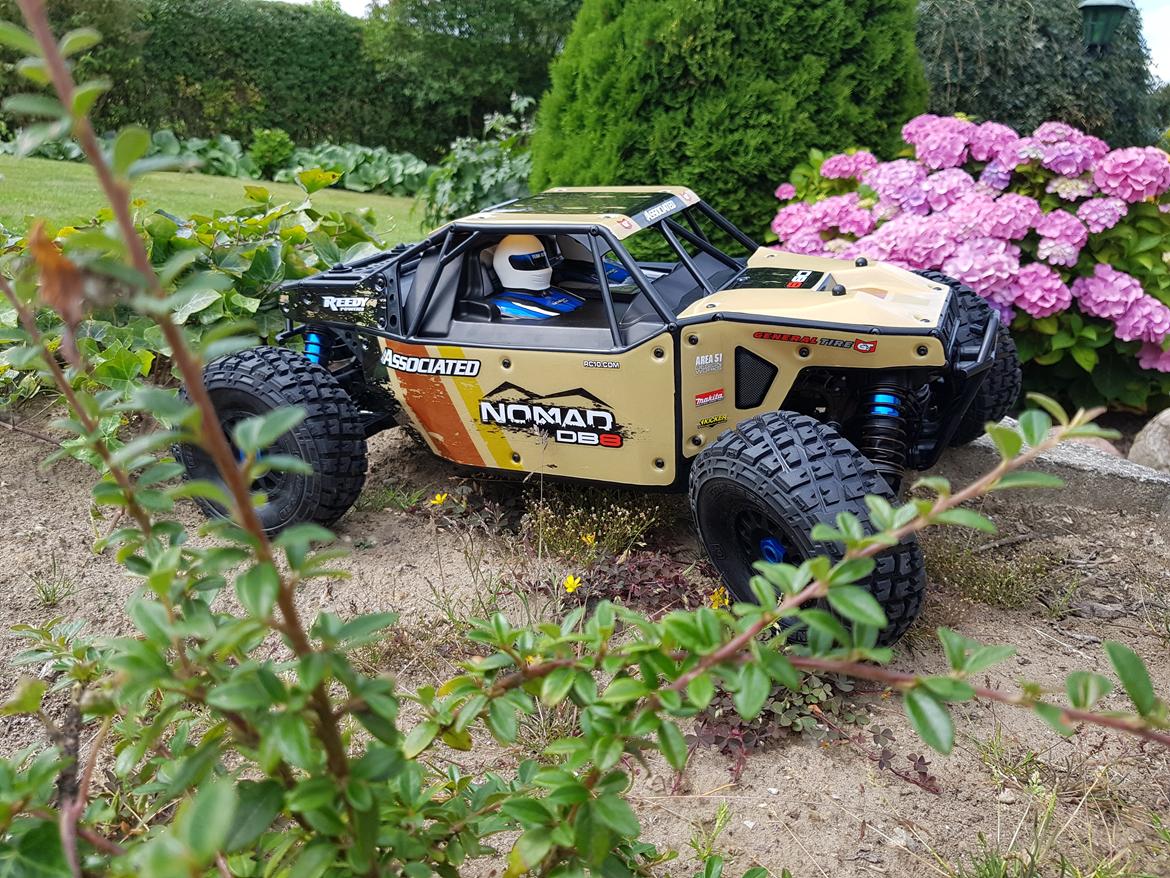 Buggy team associated Nomad DB8 billede 3