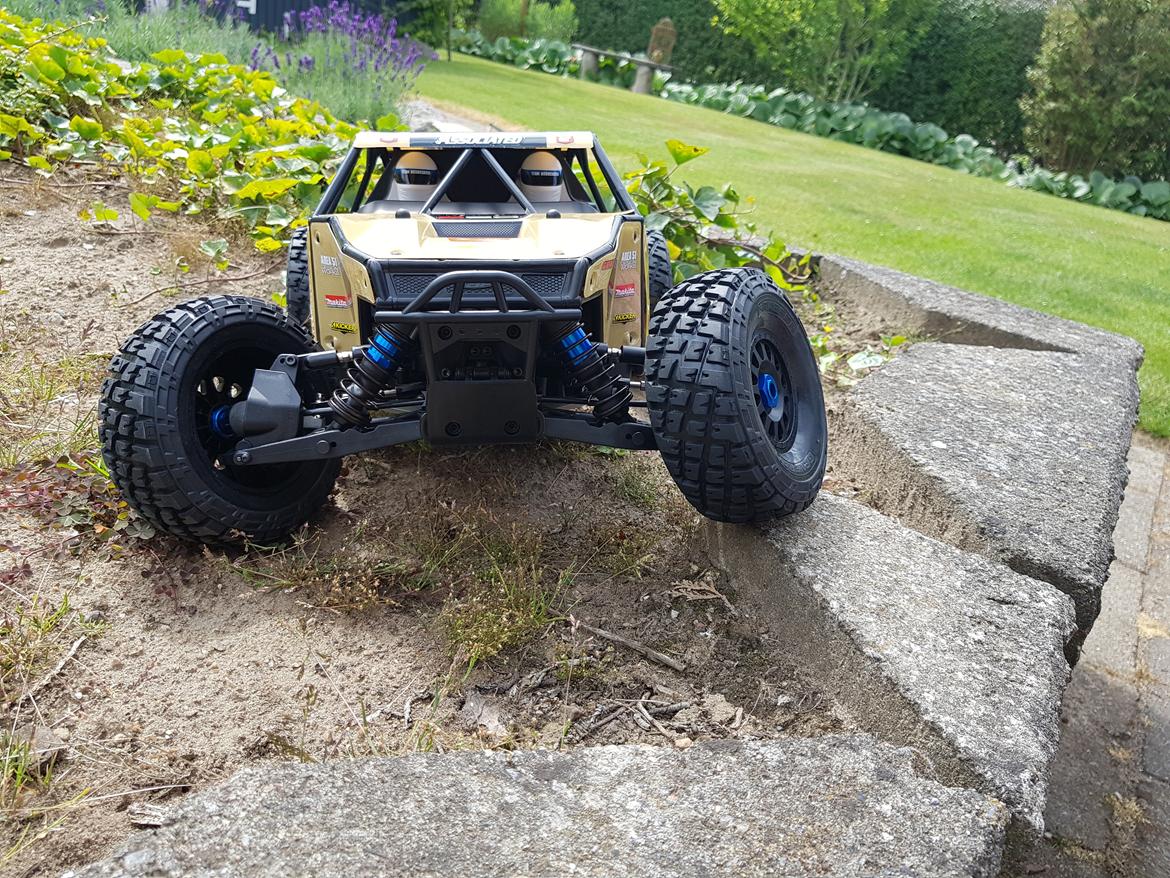 Buggy team associated Nomad DB8 billede 4
