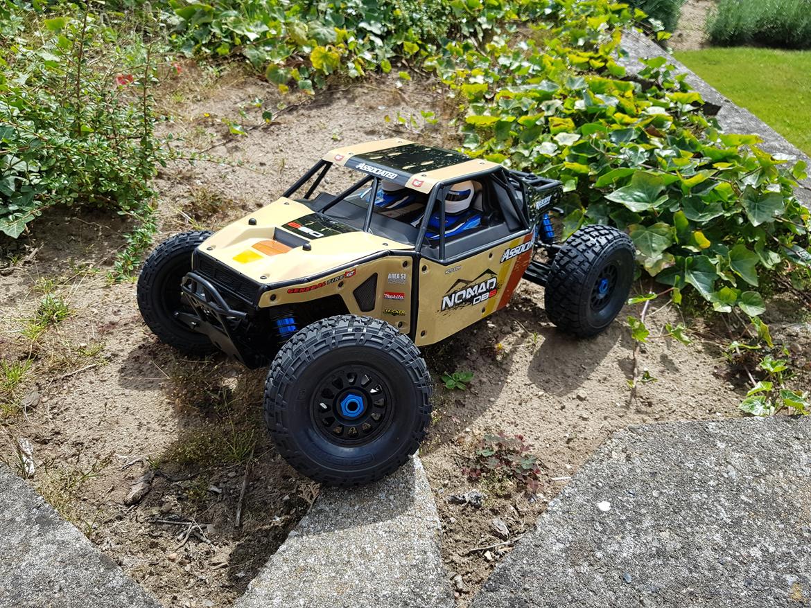 Buggy team associated Nomad DB8 billede 5