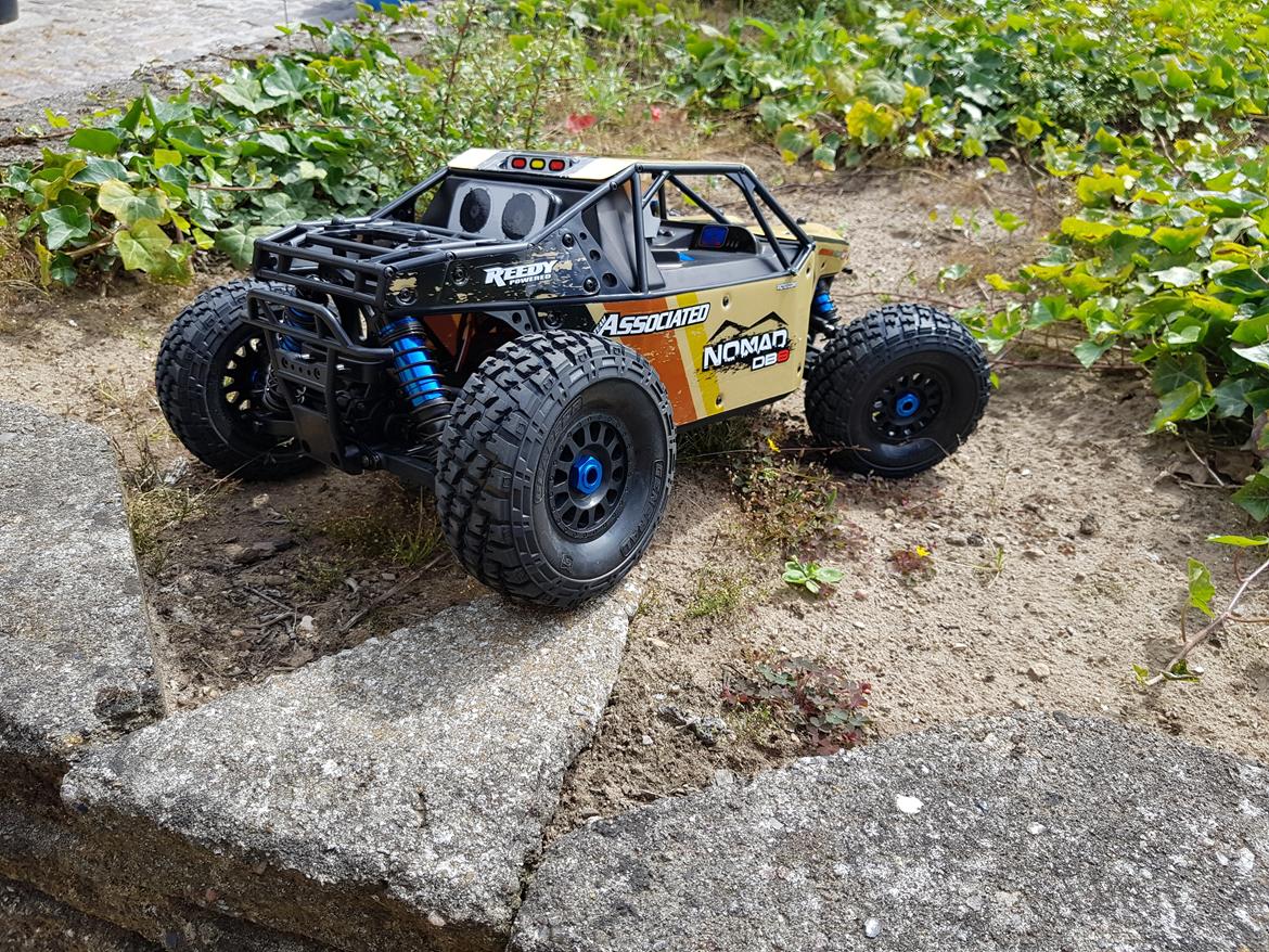 Buggy team associated Nomad DB8 billede 6