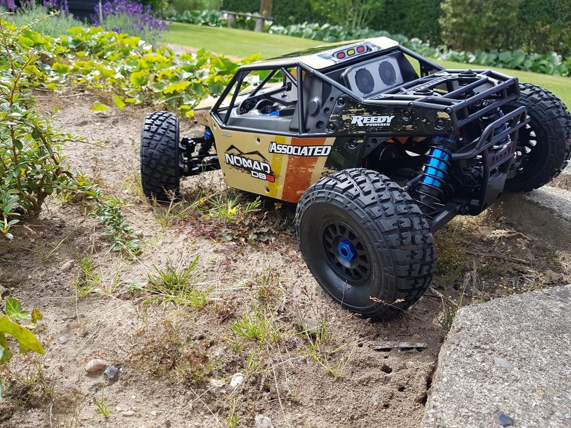 Buggy team associated Nomad DB8 billede 7