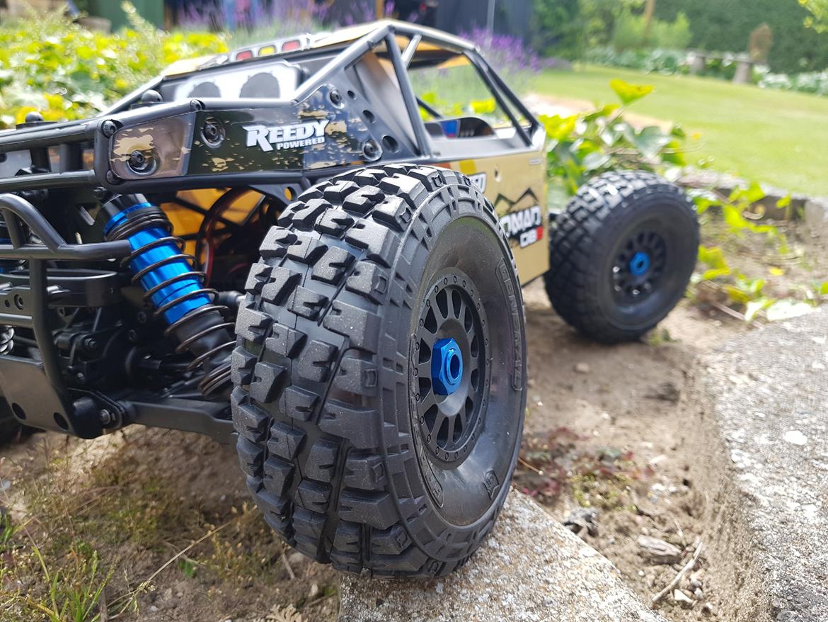 Buggy team associated Nomad DB8 billede 8