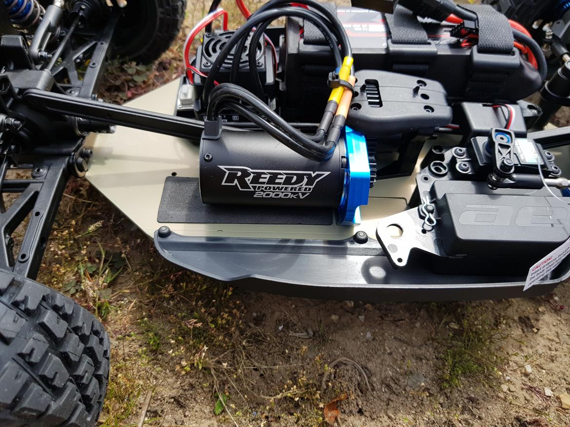 Buggy team associated Nomad DB8 billede 9