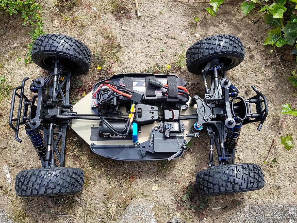 Buggy team associated Nomad DB8 billede 10