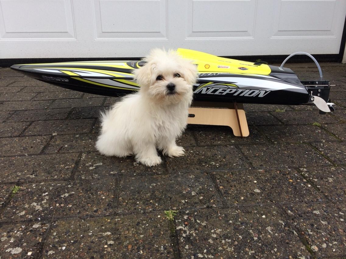 Båd HydroPro Inception - Klar til første tur med min lille "styrmand" billede 1