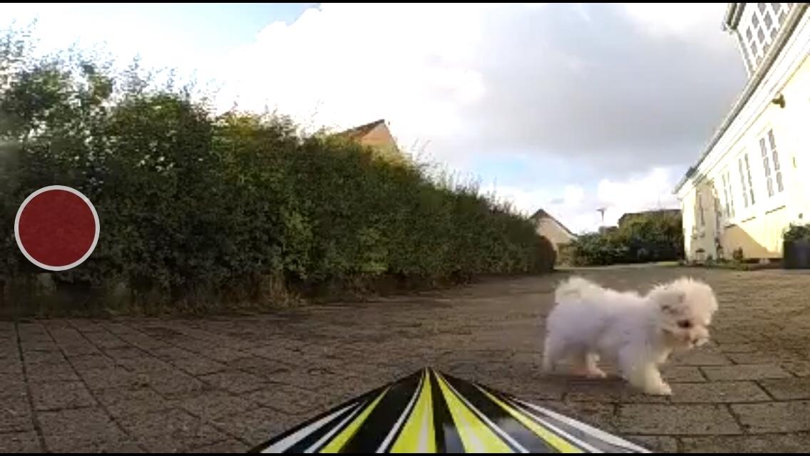 Båd HydroPro Inception - GoPro sat i stævn billede 31