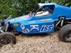 Buggy Tamiya rough rider (58015)
