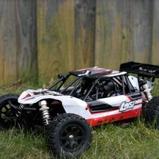 Buggy Losi Mini 8ight DB