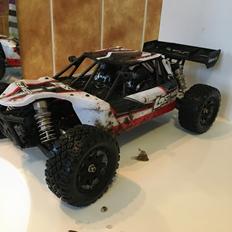 Buggy Losi Mini 8ight DB