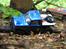 Truck SCX 10 Honcho