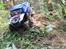 Truck SCX 10 Honcho