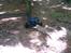 Truck Axial Wraith Poison Spyder RTR