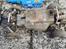 Buggy Tamiya rough rider (58015)