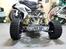 Bil Fg Beetle