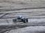Truck Traxxas E-Maxx