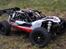 Buggy Losi Mini 8ight DB